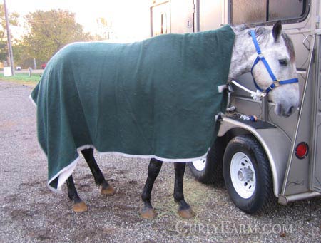 horse wearing a large cooler