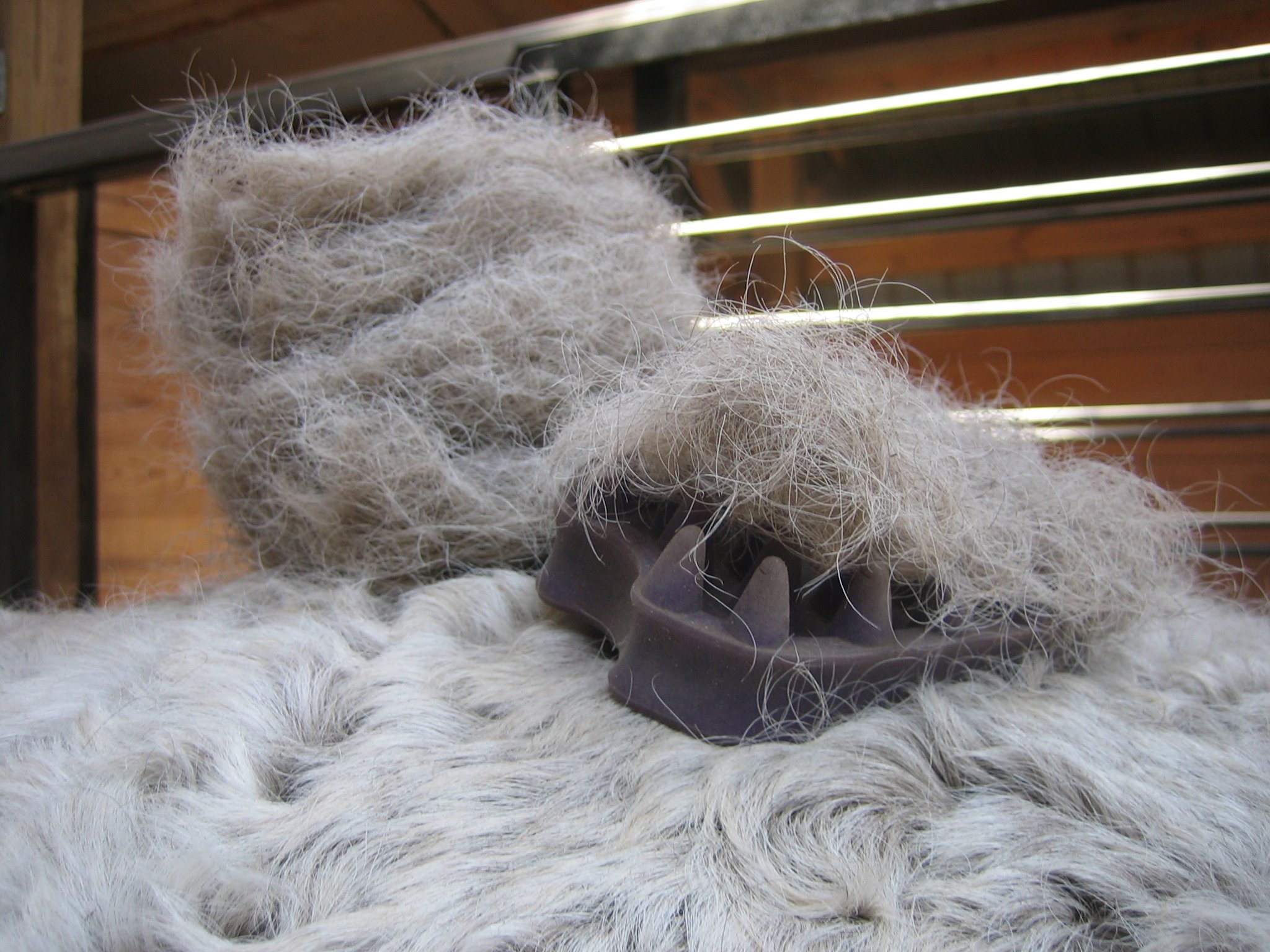 Horse hair caked on a curry grooming tool during shedding season.