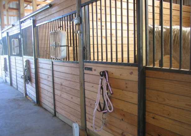 modern stalls minimize contact between horses