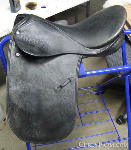 Photo of an older model Courbette Dekunffy Dressage Saddle on a blue saddle rack.