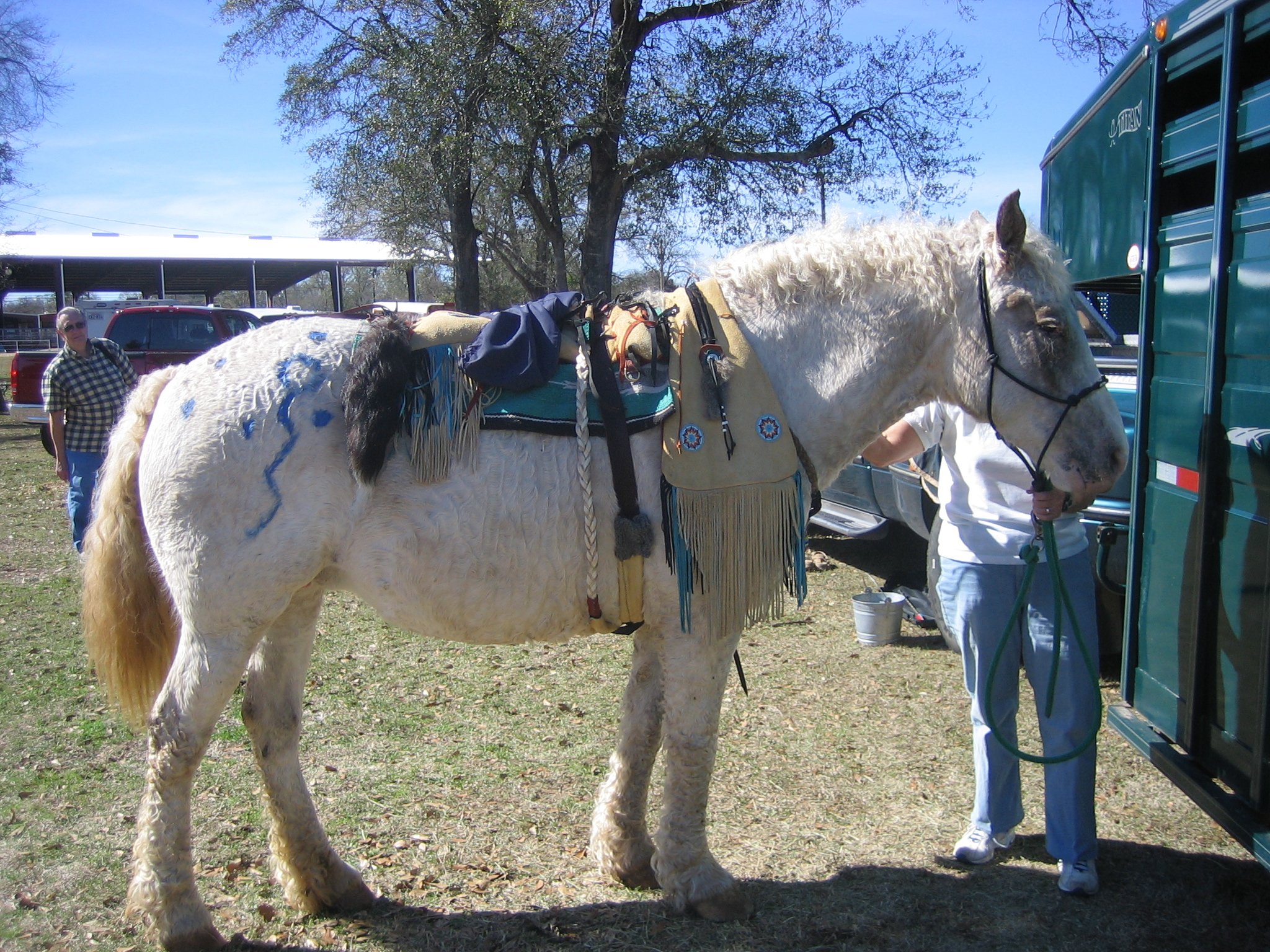 horse painted and tacked up in Native American tack.