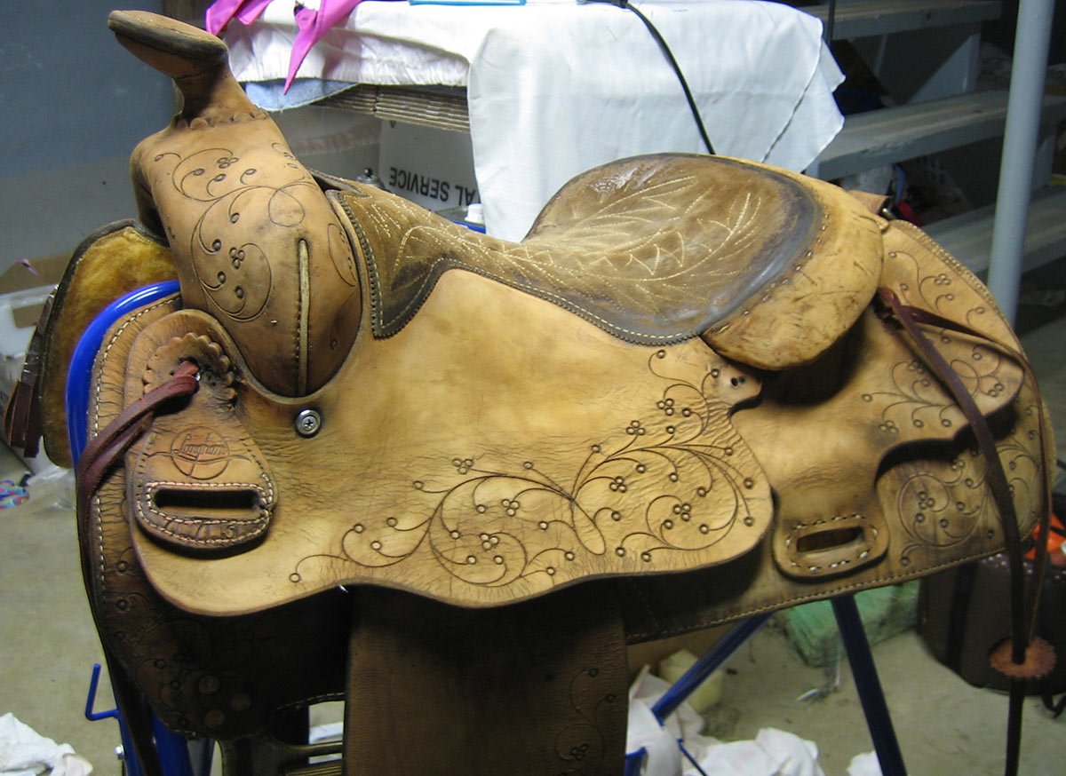 western saddle longhorn