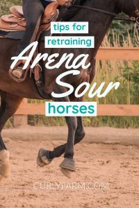 Arena Sour: Working with Horses that Refuse to Enter an Arena
