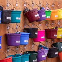organized feed buckets hung on a wall in a horse barn's feed room.