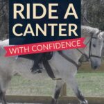 tips for learning to ride a cantering horse, and the trot to canter transition, with confidence