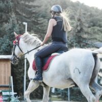 12 Tips for keeping grey, white, and pinto horse's light colored coats brilliantly white and show-ring ready