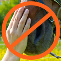 Image of hand petting a horse's nose with a symbol indicating not to pet a horse this way.
