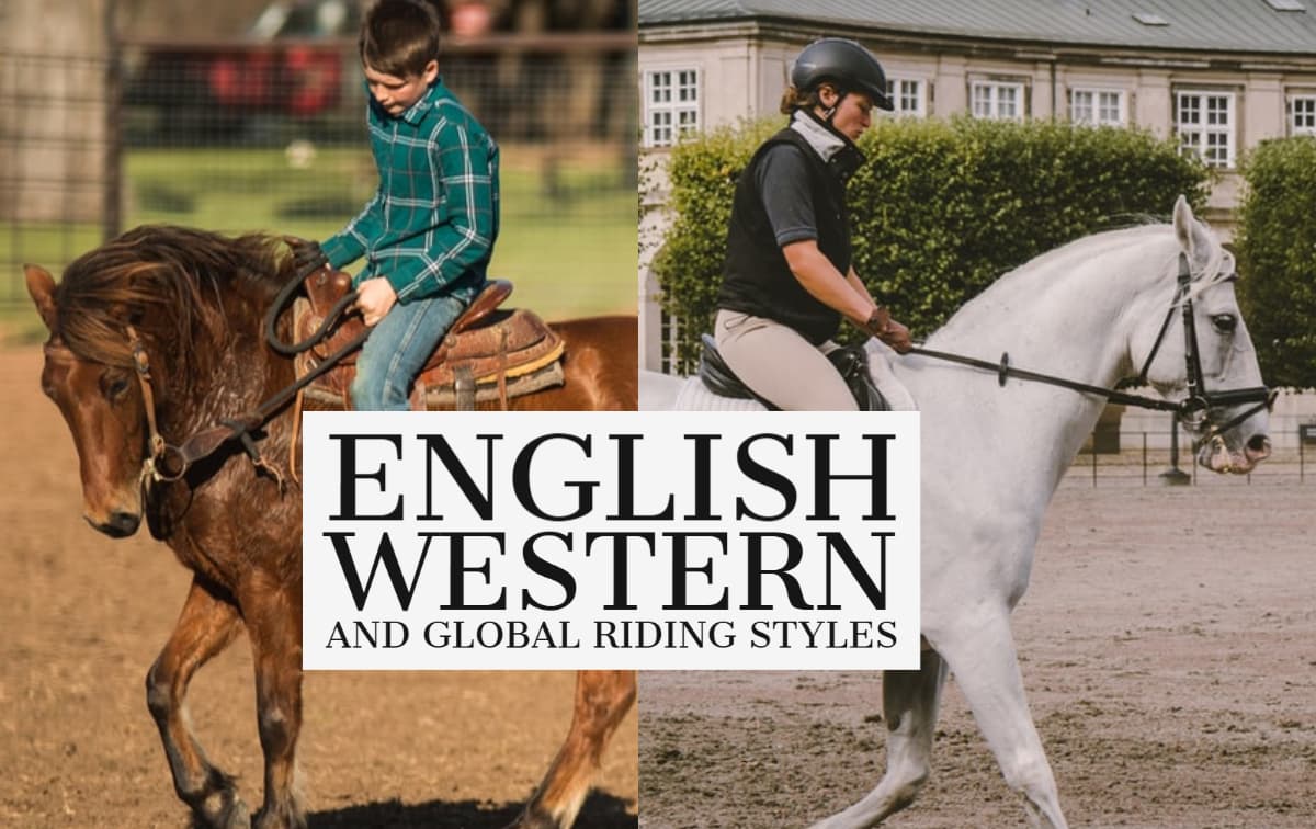 english and western riding defined, plus global riding styles