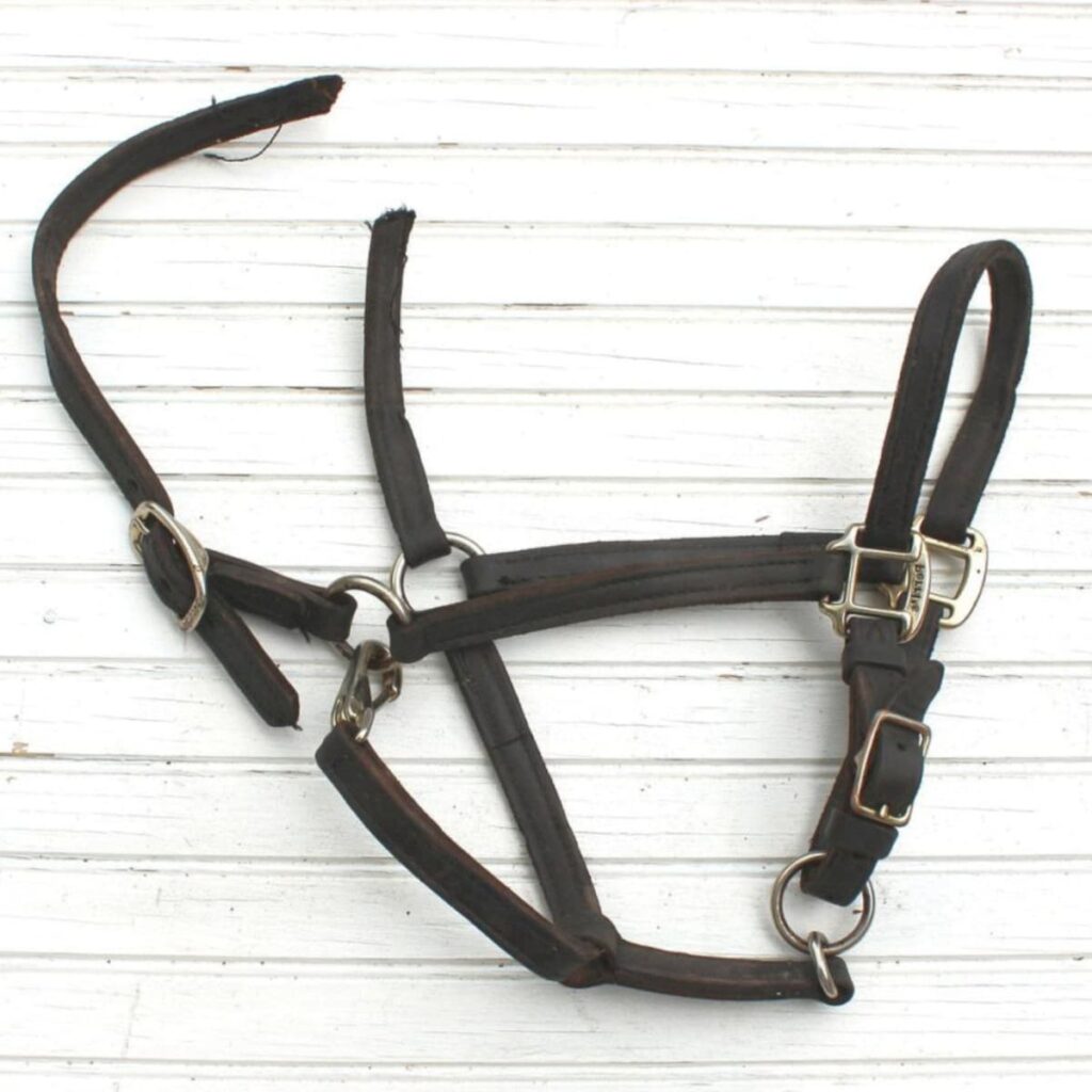How to repair a broken halter crown without a sewing machine