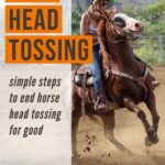 Simple tips to address the cause and end head tossing