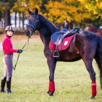 A girl holding her horse's reins from the ground, looking back at the camera with a serious look.