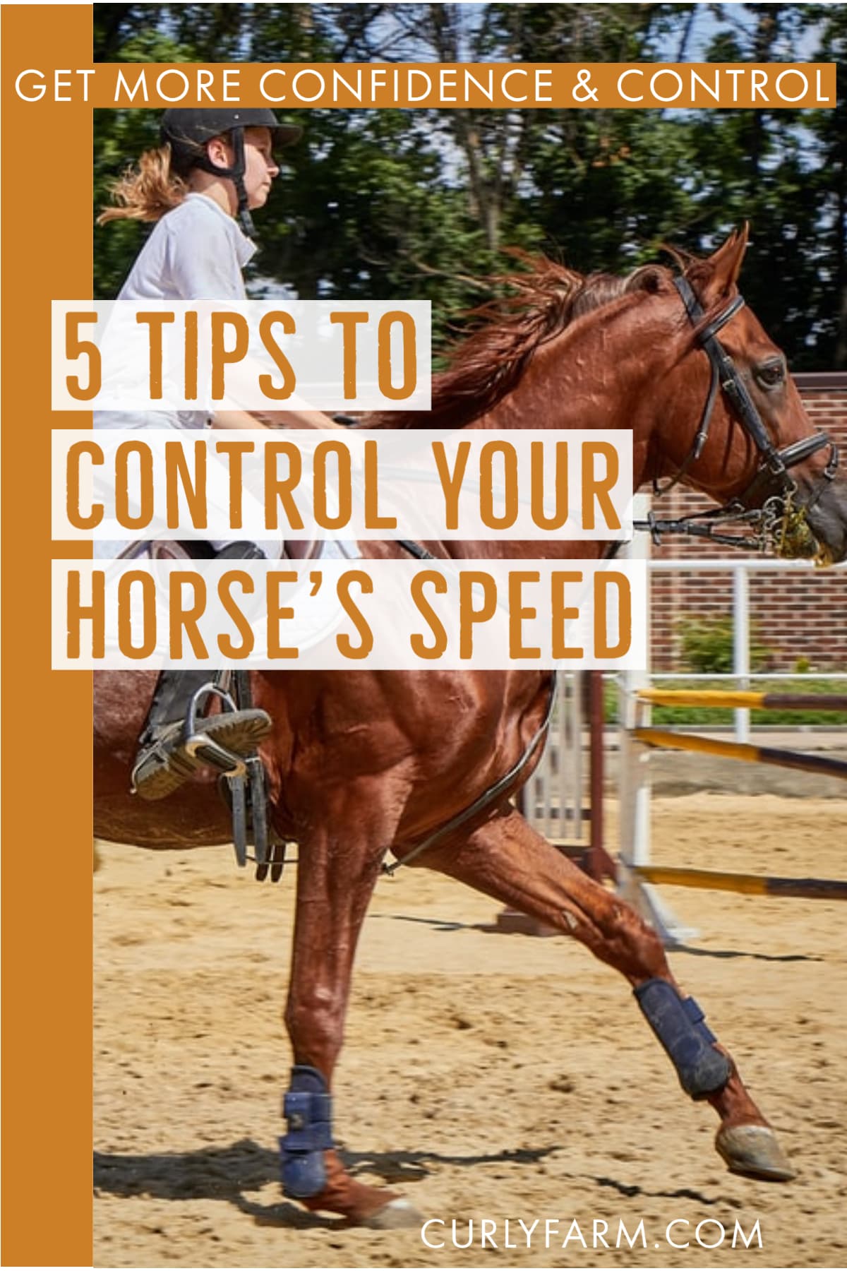 5 Tips for control your horse's speed and pace at any gait