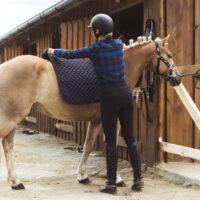 Woman Placing A Saddle Pad On The Back Of Her Horse To Protect From Sores