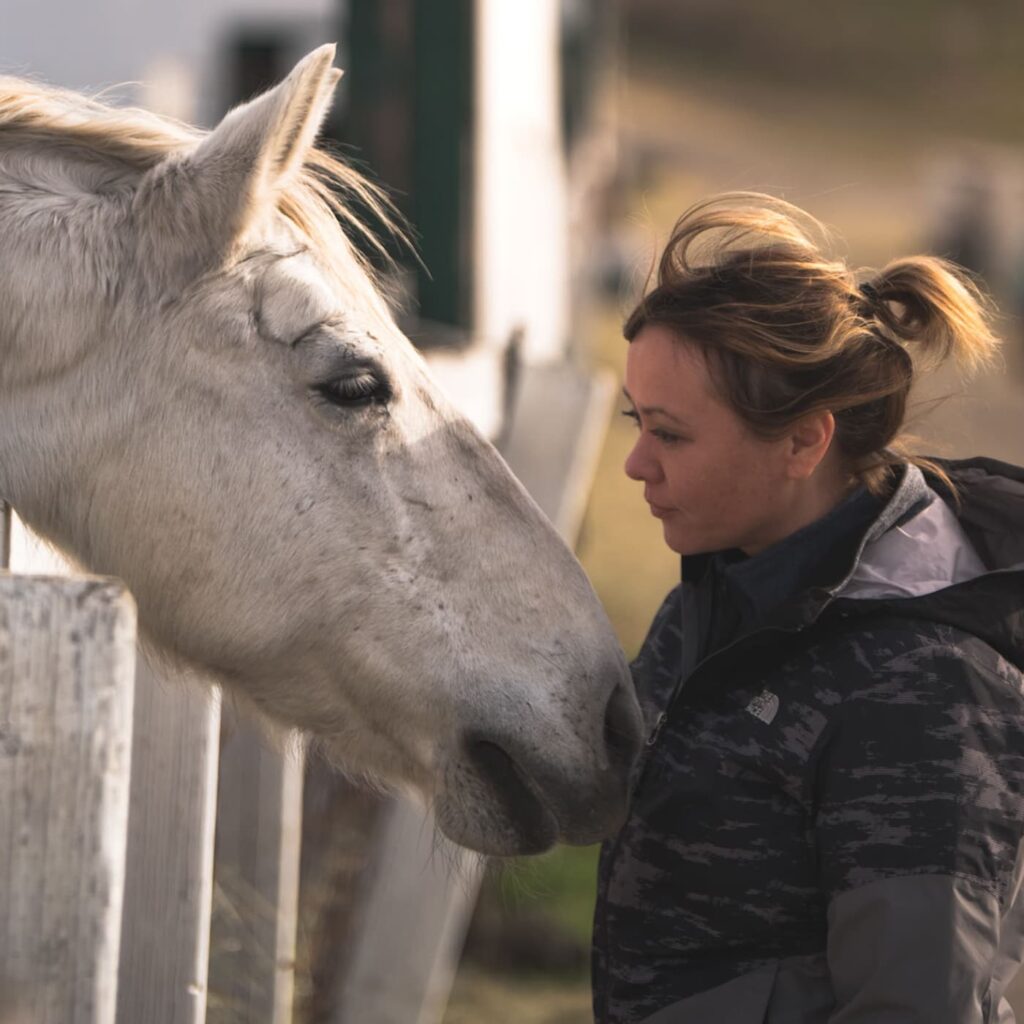 A female horse trainer touching a grey horse's face