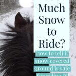 How to know if there's too much snow to ride your horse or turn it out in a snowy pasture.