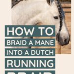 Four strand braids are unique and easy to learn. Step by step instructions to braid a mane into a running braid