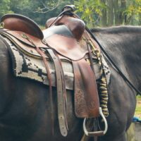 how to tack up a horse- and what it means