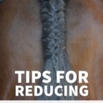 tips for reducing tail rubbing