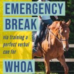 increase horse, rider, and farm safety by training your horses to stop immediately on cue