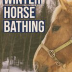 Winter horse grooming can be challenging but these tips can help you keep your horse clean in the cold