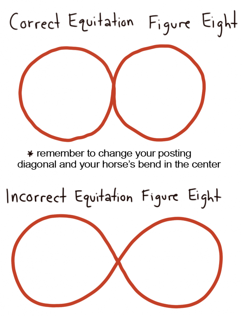 how to correctly ride a figure eight pattern in a horse shoe equitation class