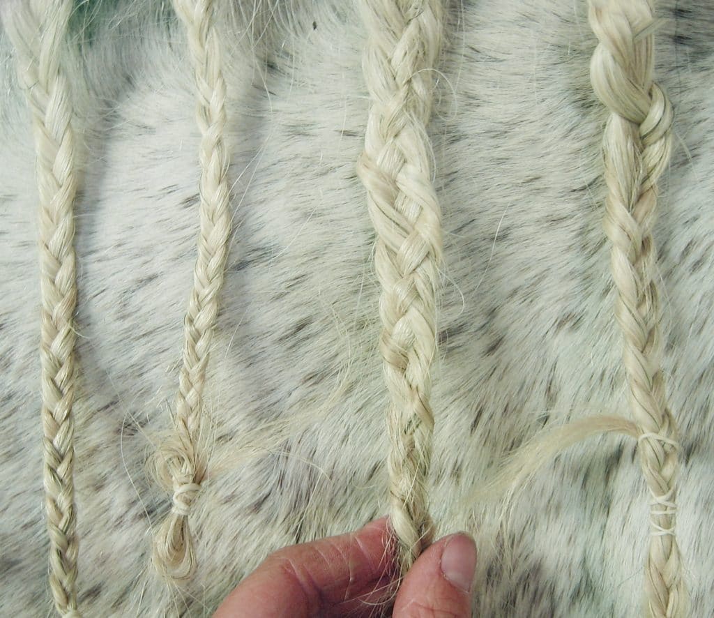 A four strand braid in between traditional braids on a horse's mane