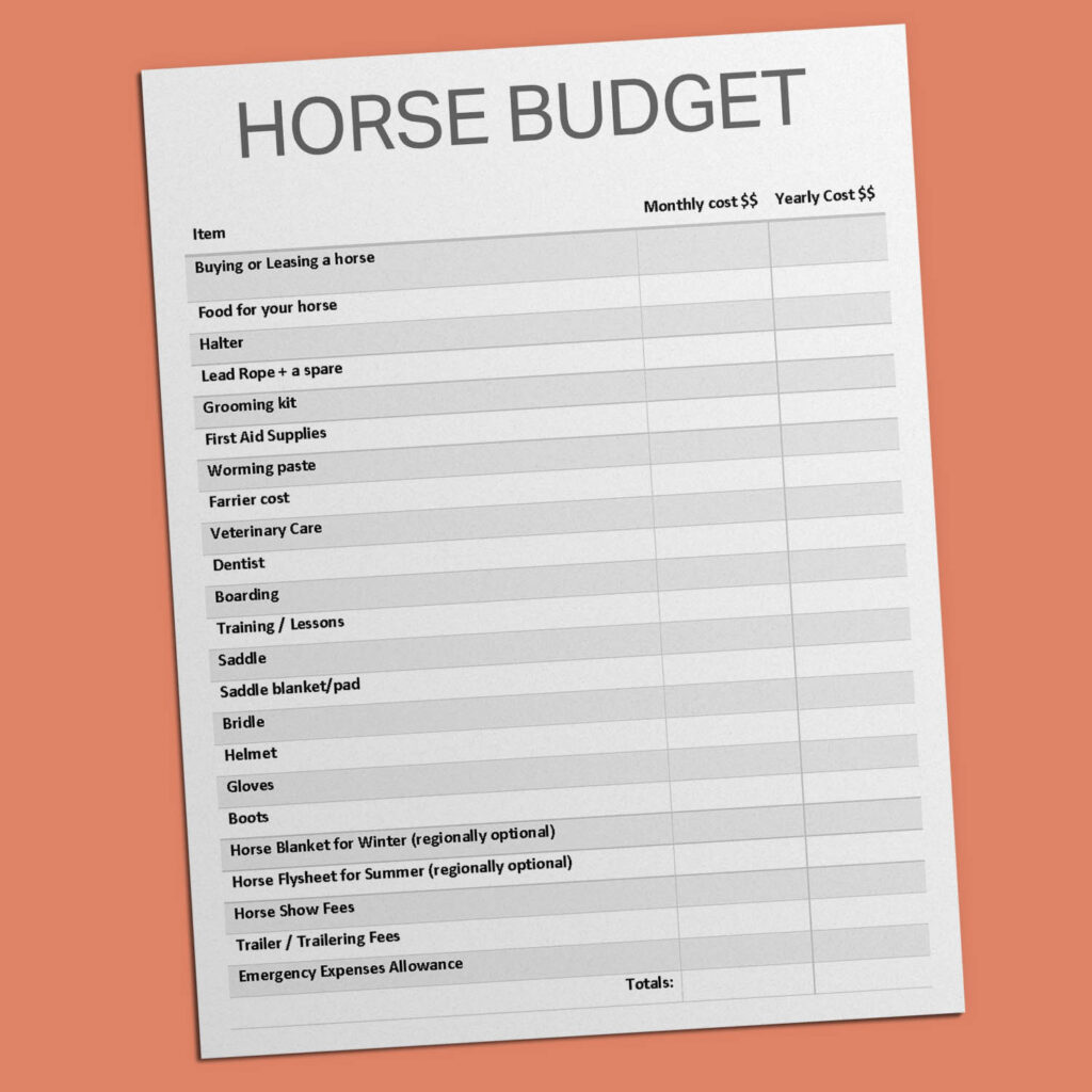 CurlyFarm.com Horse Budget Planner mockup of file.