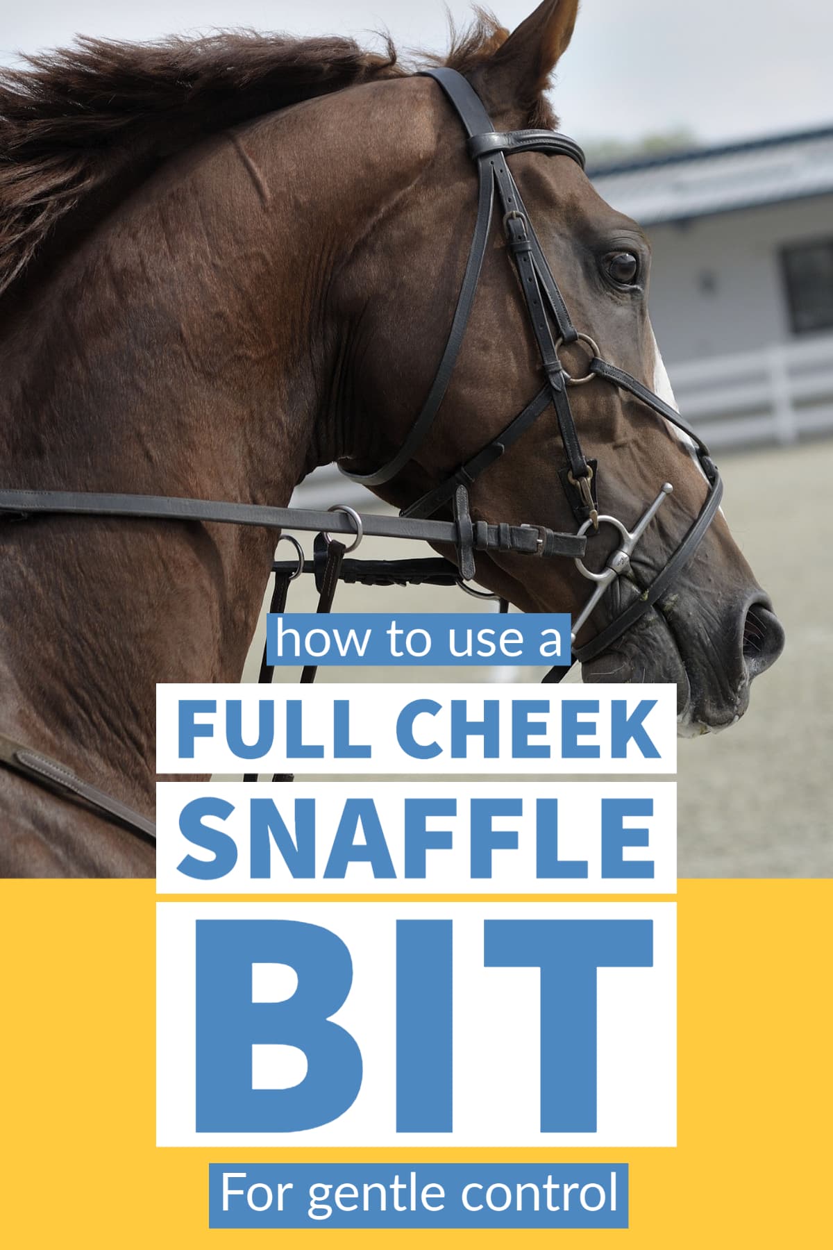 Photo of horse with text overlay: How and why to use a full cheeks and a full bit header graphic in blue and yellow.