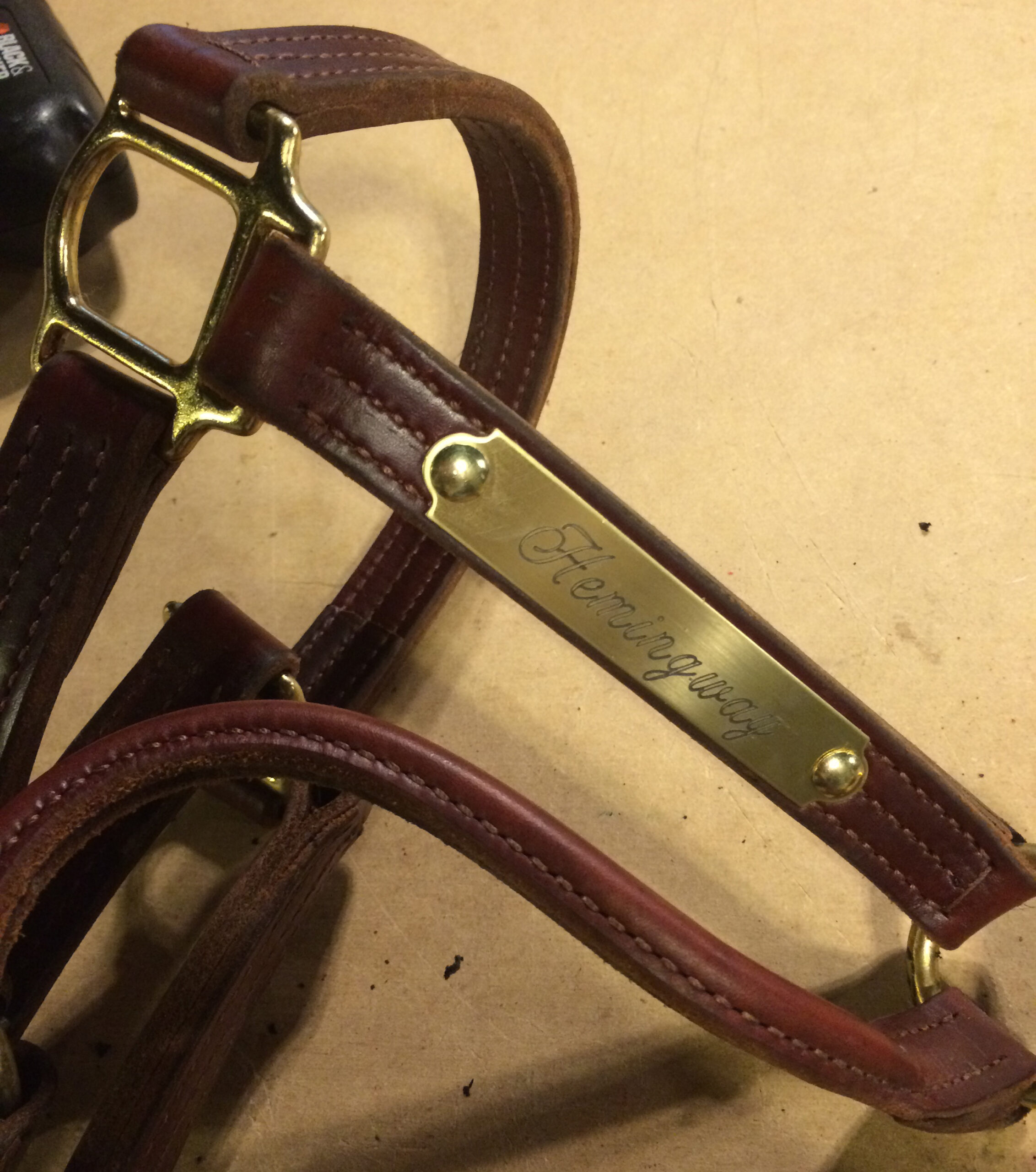 Halter with engraved plate attached