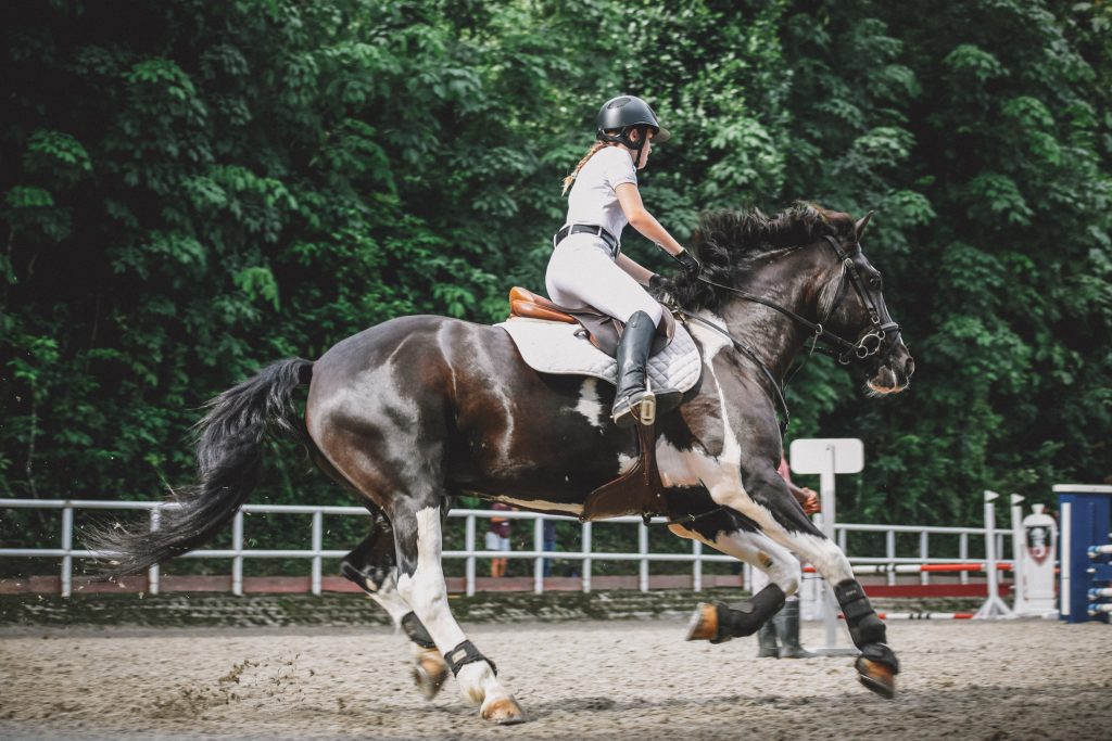 A balanced canter transition will feel like liftoff, while an unbalanced transition may send you lurching forward unpredictably. 