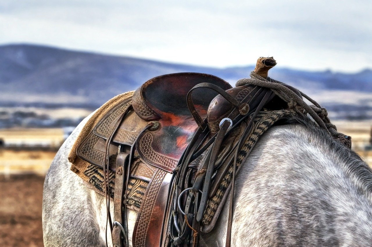 A used horse saddle on a grey horse.